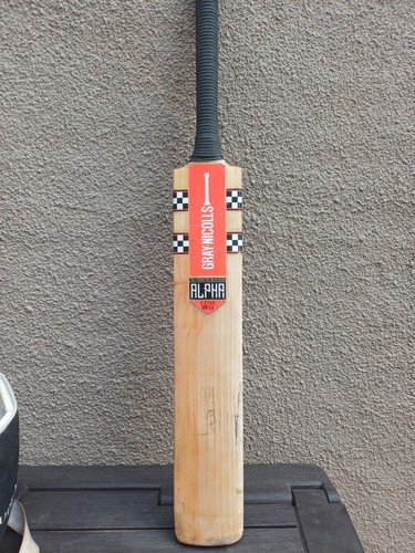 Gray nicolls alpha gen 5 - gray,