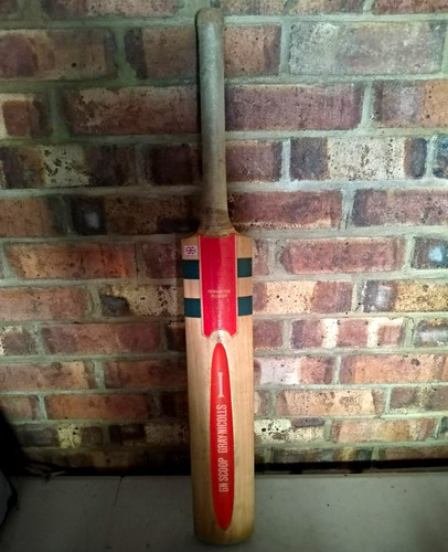 Gray nicolls scoop cricket - gray-nicolls,