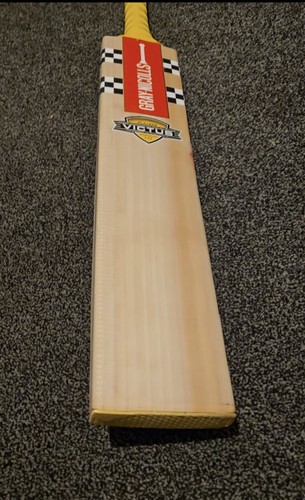 Gray nicholls victus - gray,