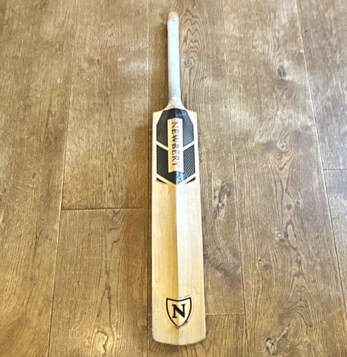Newbery youth cricket - youth,