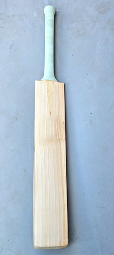 Plain cricket bat - bat, english