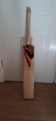 Puma evo speed - evo, cricket