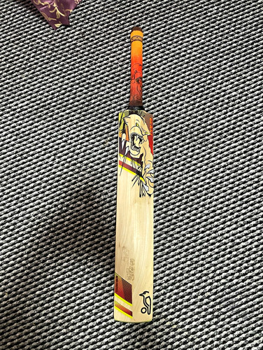 Youth cricket bat size - cricket,