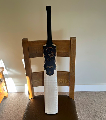 English willow cricket bat - willow,