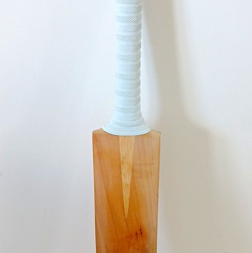 English willow cricket - cricket,
