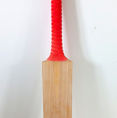 English willow cricket - cricket,