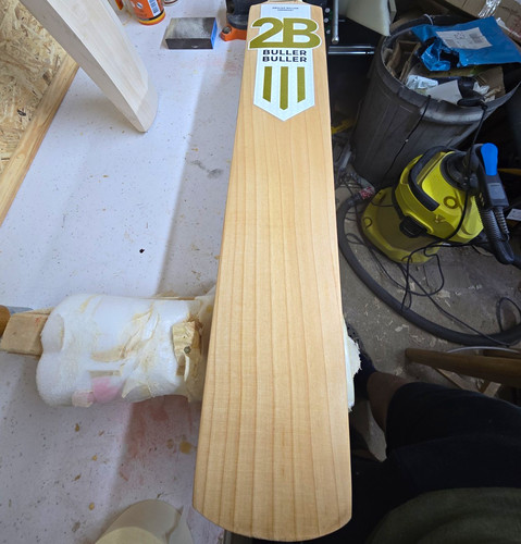 Grade cavok cricket bat - cavok,