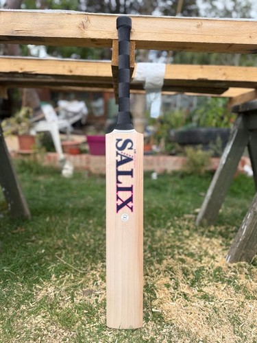 Salix air black - salix, english