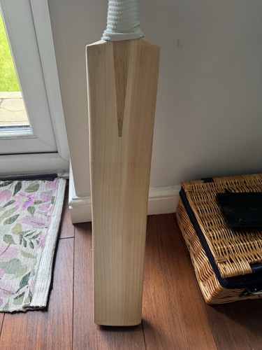 Cricket station players grade - cricket,