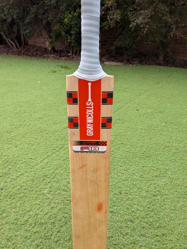 Gray nicolls f18 - gray,