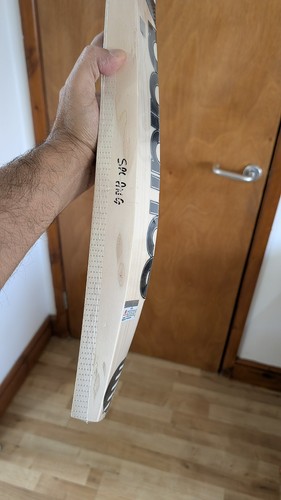 Absolute monster new balance - absolute,