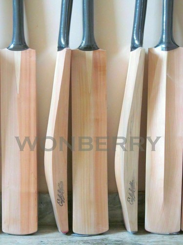 Plain english willow - willow, cricket