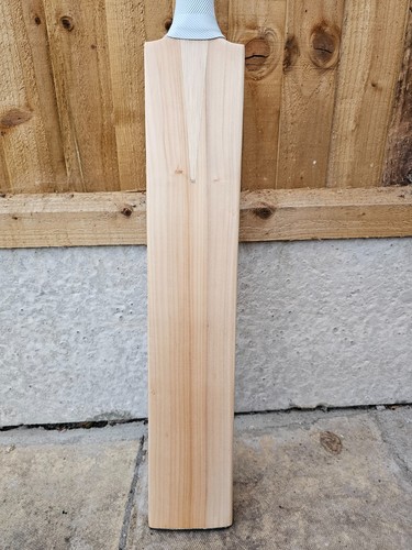 Cricket bat short - bat, handle