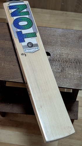 Ton power plus cricket - ss,
