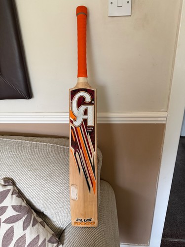Plus 10000 cricket - 10000., bat