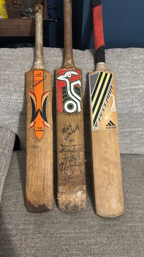 Signed autographed cricket - signed,