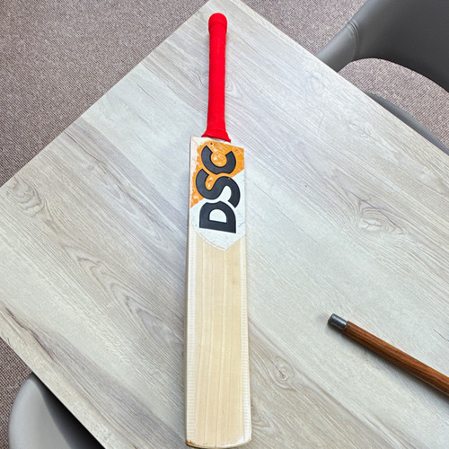 Dsc cricket bat 2lb 10oz - 10oz,