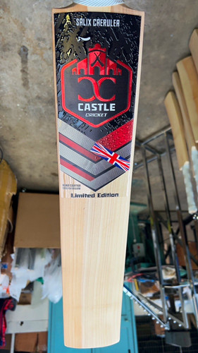 Castle salix crawler 2024 - castle,