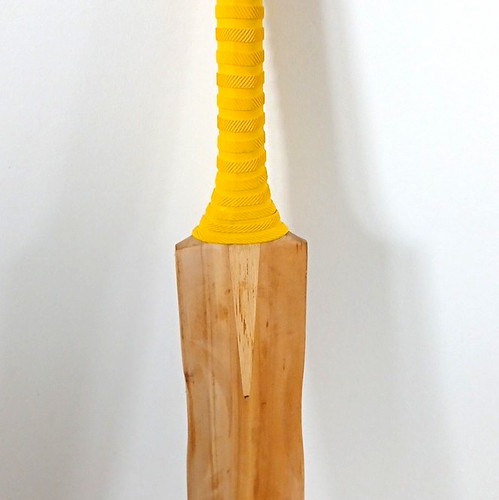 Woodworm cricket bat - -, harrow