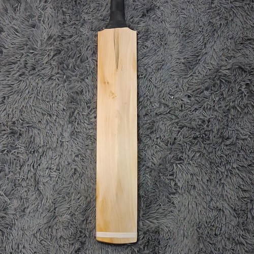 Grade willow cricket bat - bat,