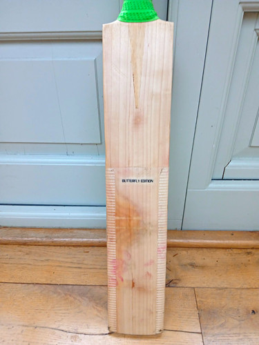 English butterfly willow sh - english,
