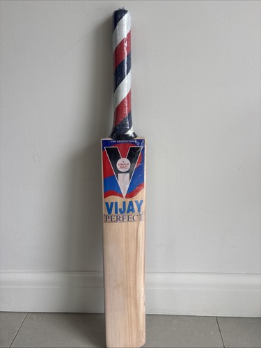 Vijay perfect the cricket - perfect,