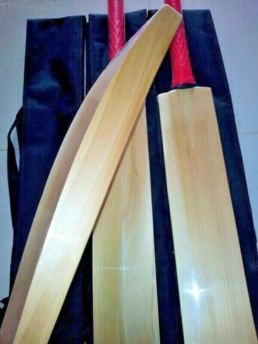English willow cricket - willow, big