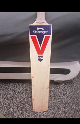 Slazenger 200 willow cricket - willow,