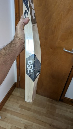 Absolute beast dsc - beast,