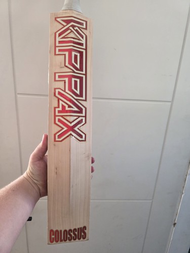 Kippax colussus cricket bat - cricket,
