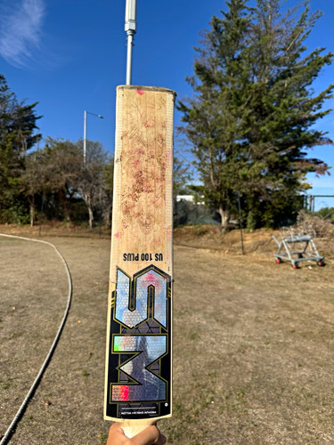 100 plus willow cricket - us,