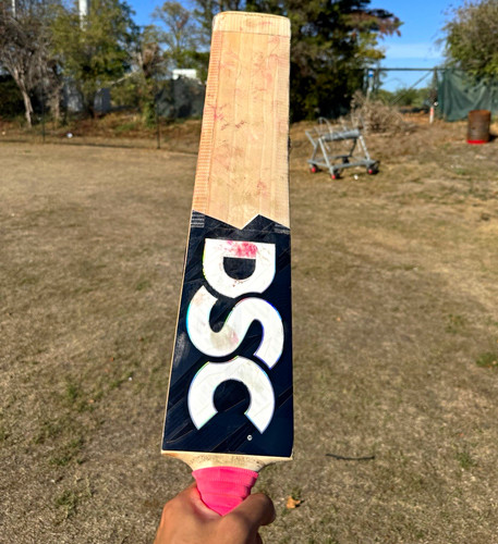 Dsc grade willow cricket - grade, bat