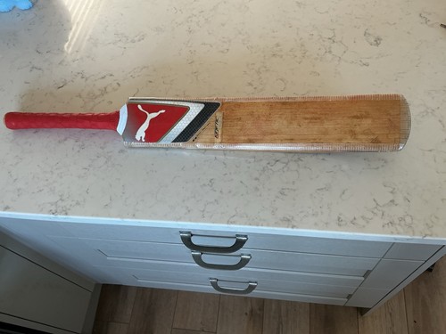 Puma 4000 kinetic - kinetic, bat