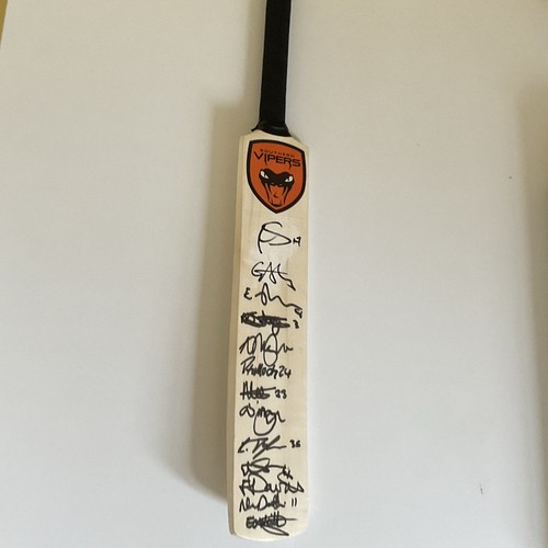 Southern vipers cricket bat - vipers,
