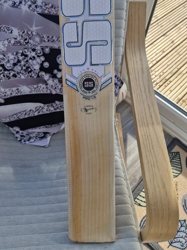 English willow cricket bat - willow,